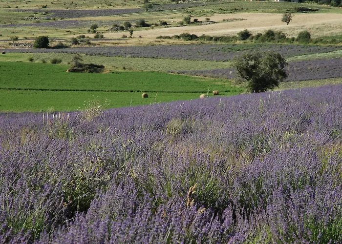 La Claveliere